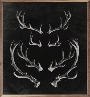 Antlers Black